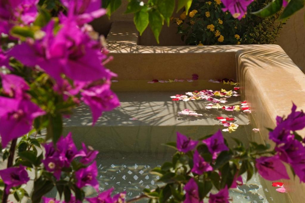 Riad Cinnamon By Marrakech Riad 마라케시 외부 사진